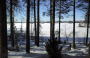 雪景色,フィンランドの森