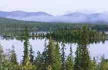 ログハウスと輸入住宅の故郷,北欧フィンランドの森と湖